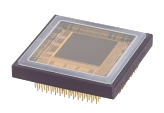 Varro New Image no BG